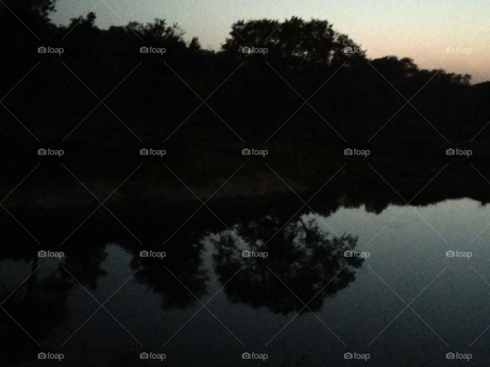 low light tree reflection
