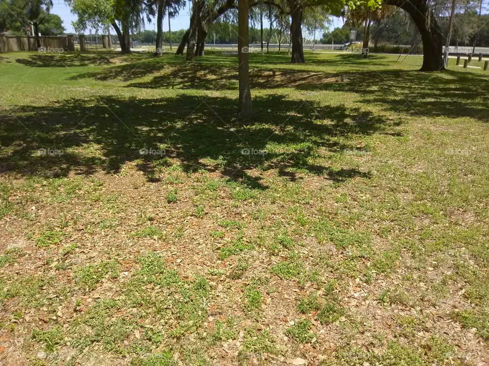 at Veterans Memorial Park;  Tampa,  FL