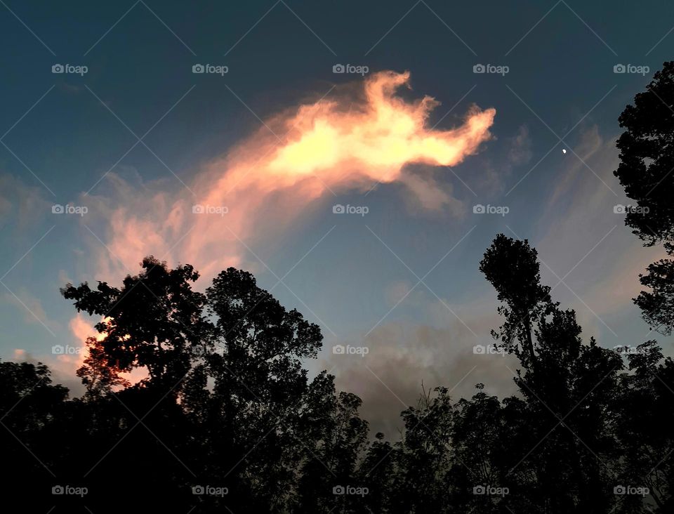 Dragon Cloud