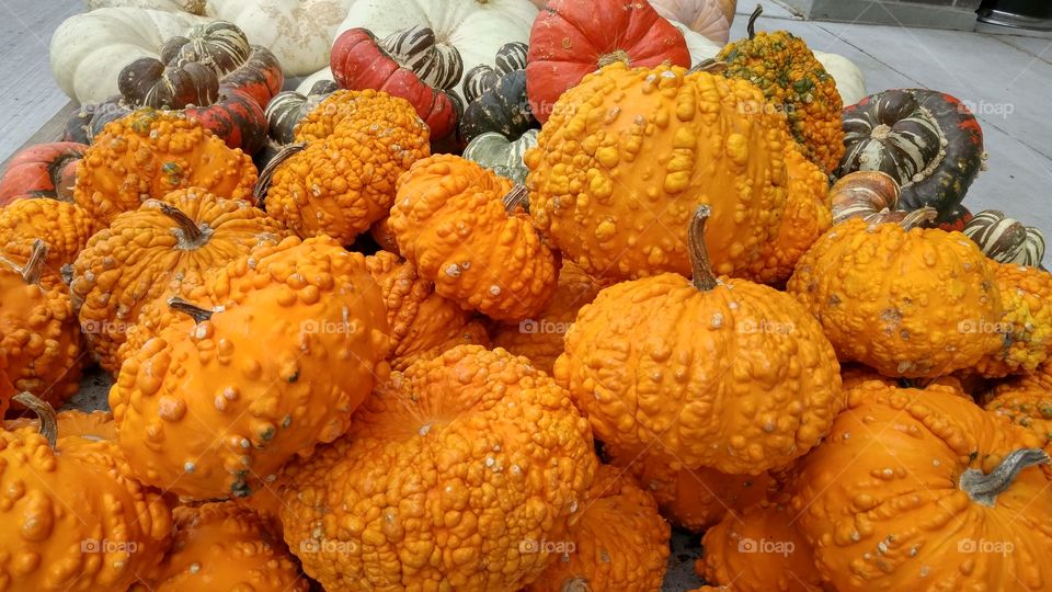 Scary pumpkins