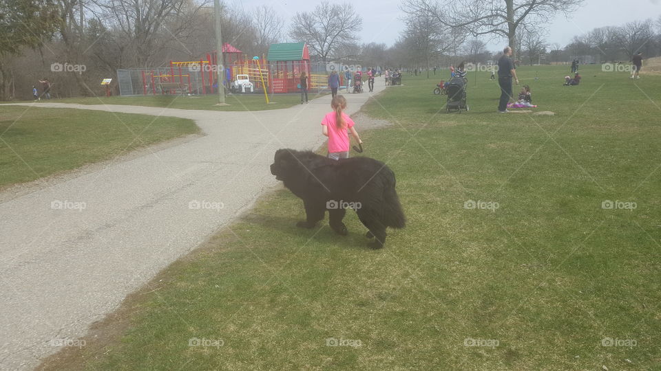 A little girl and her pet bear