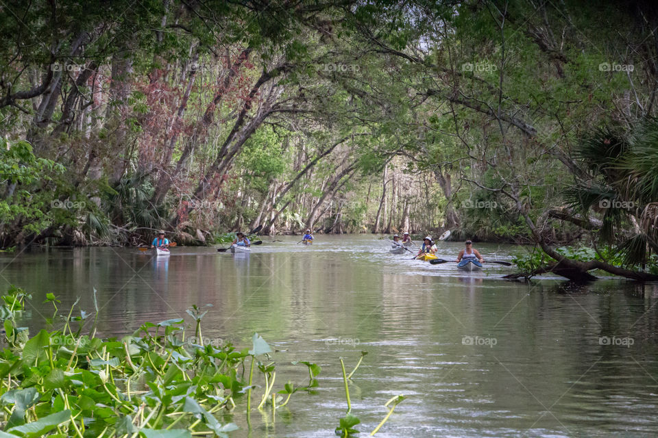 Kayaking Ocklawaha River