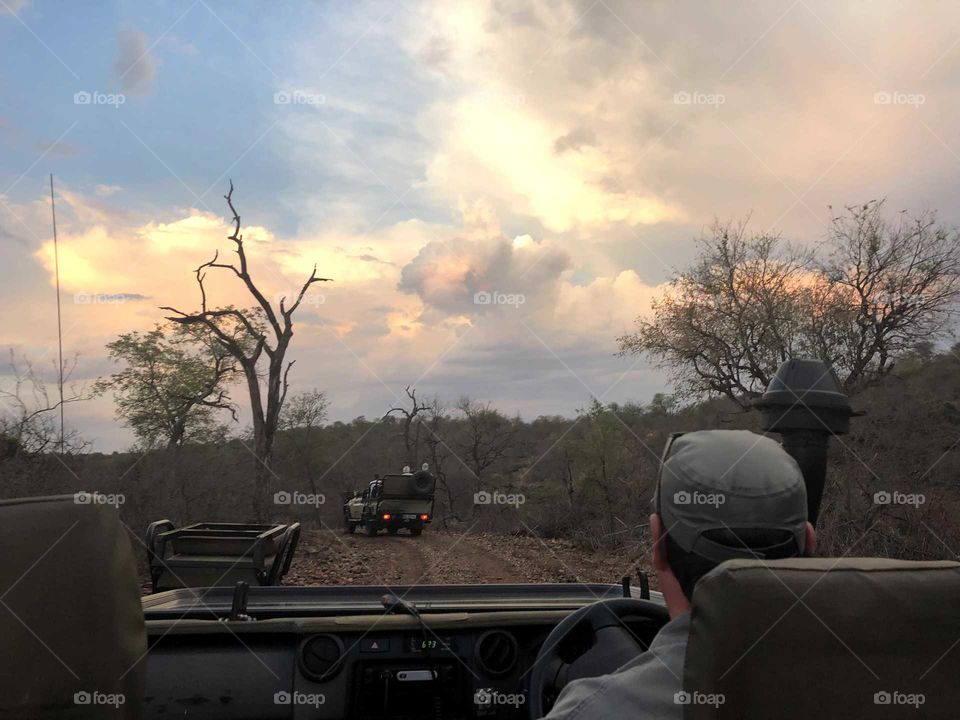 Driver in Kruger national Park