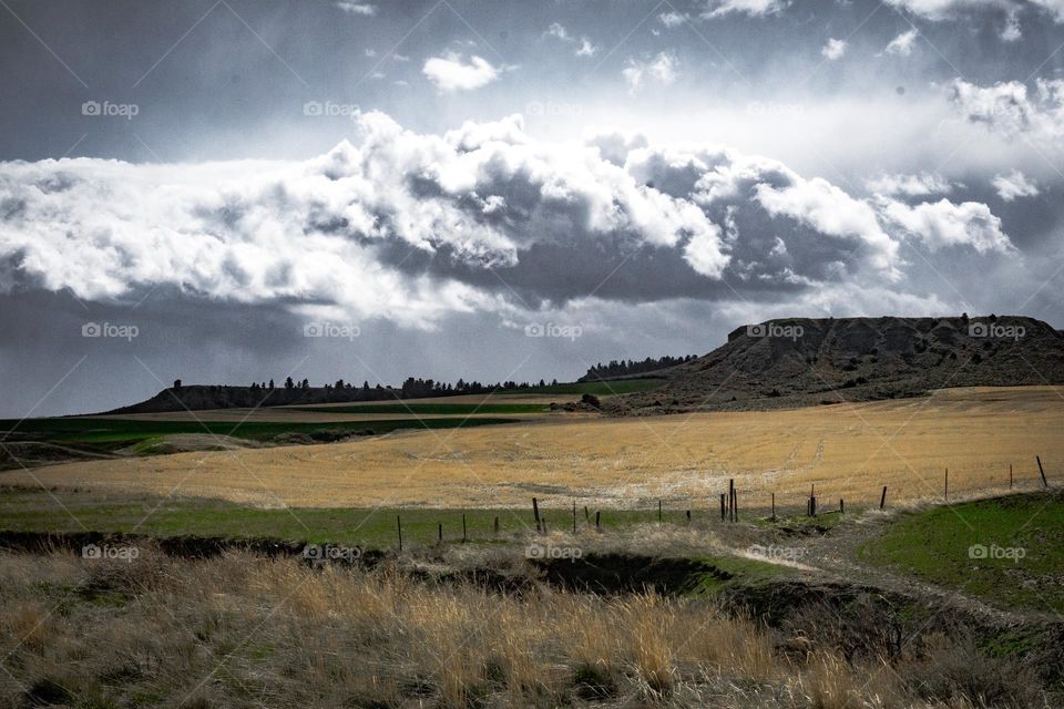 The shapes of the clouds are more distracting than the land.