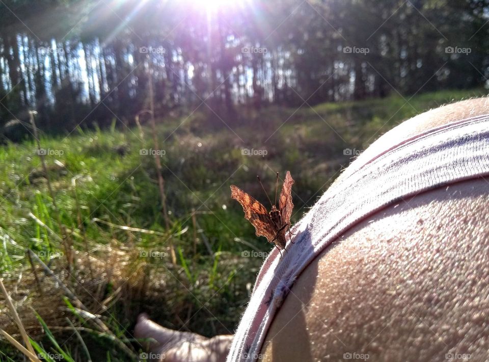 butterfly on a female leg