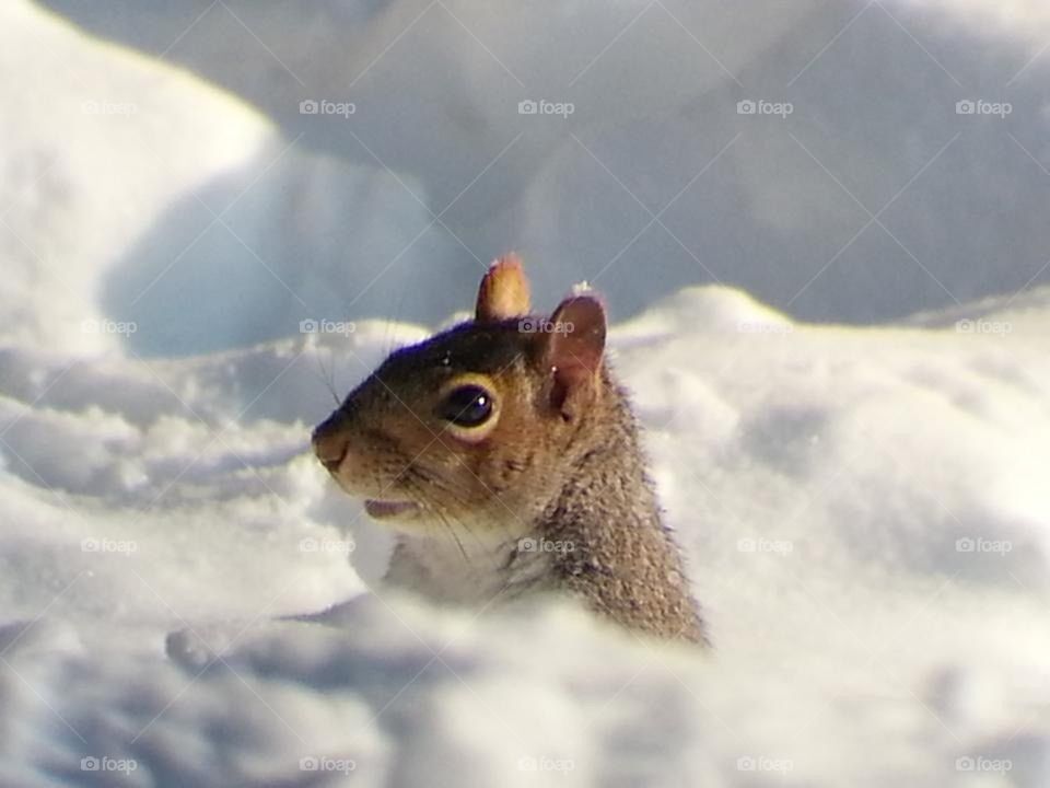 Enjoying the snow
