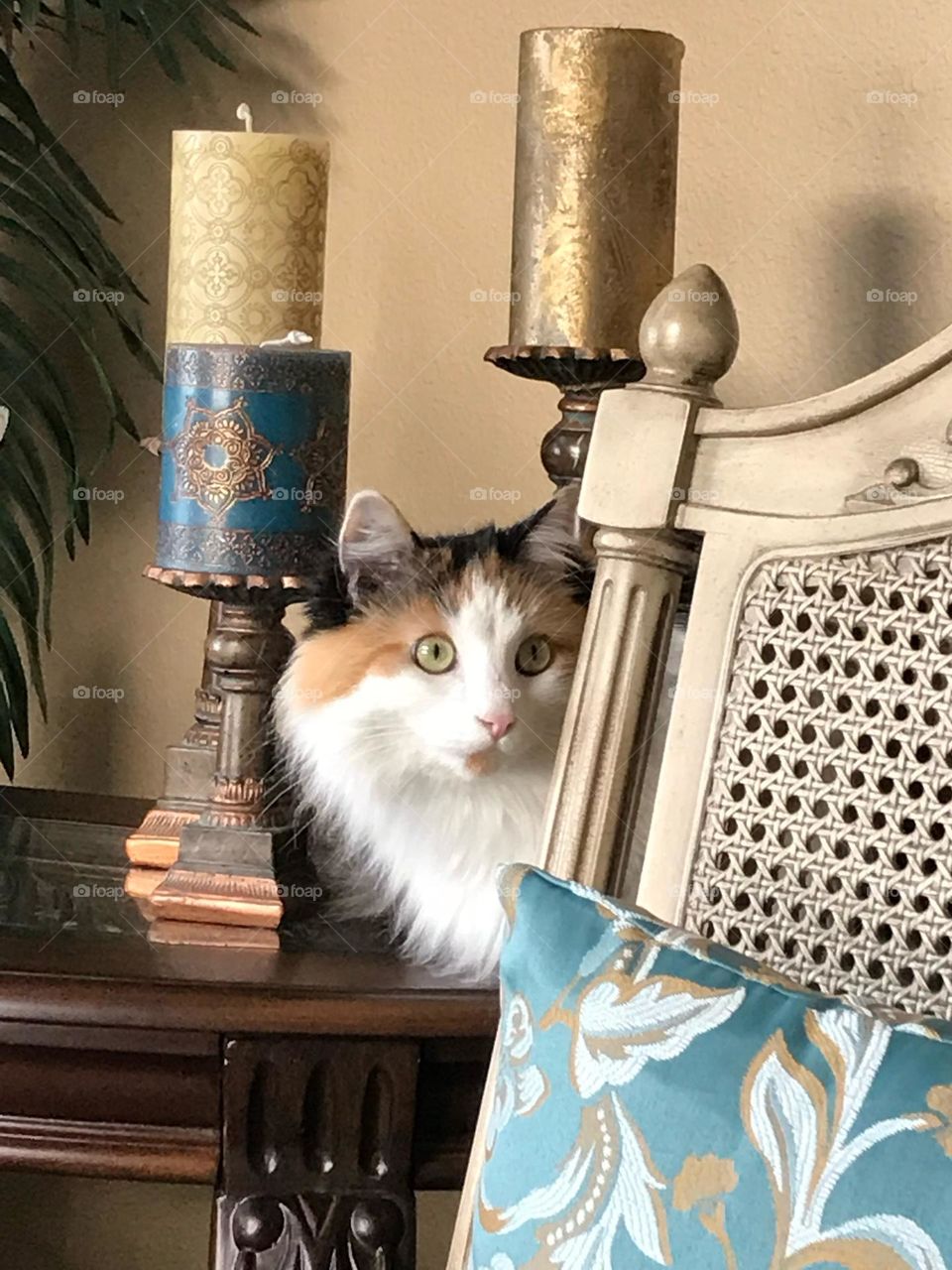 This cat thinks she is part of the living room decor.