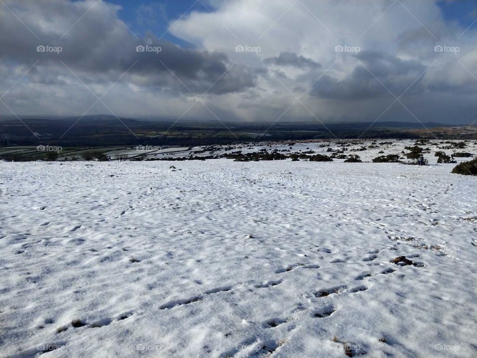 snowy moors