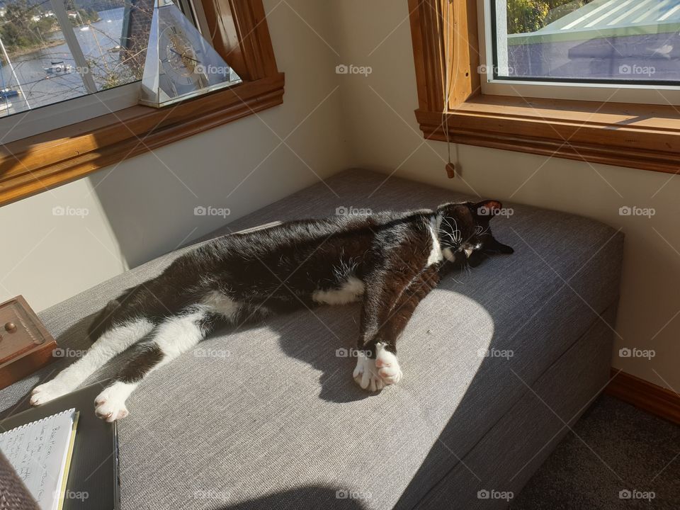 Sun sleeping