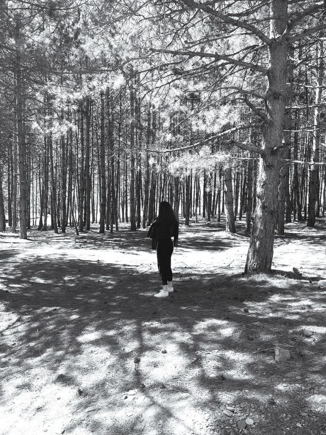 girl in the forest
