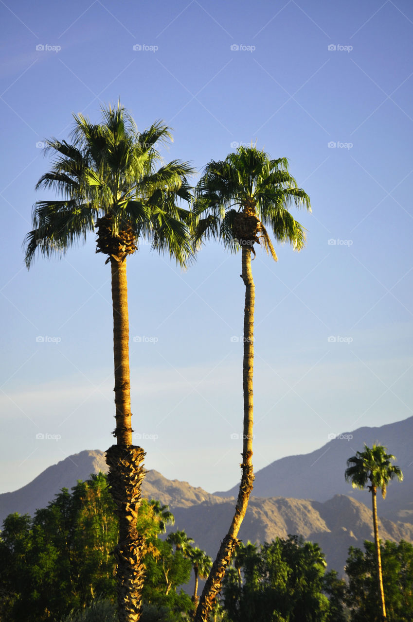 Palm Springs California 