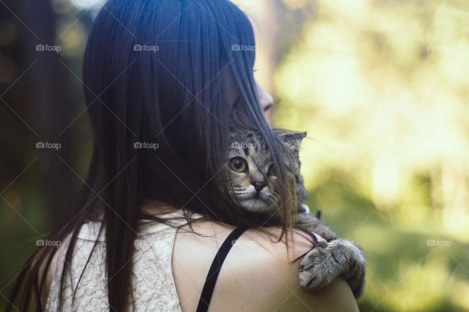 A cute tabby cat hugging a girl