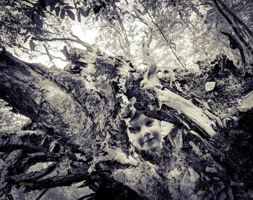 child peeking through tree roots