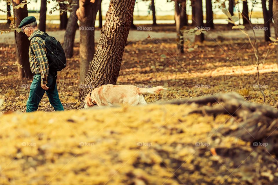 One person with his dog walking in the park.