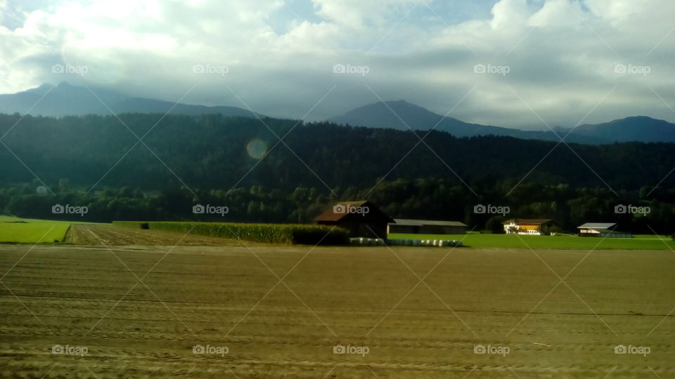 field and landscape