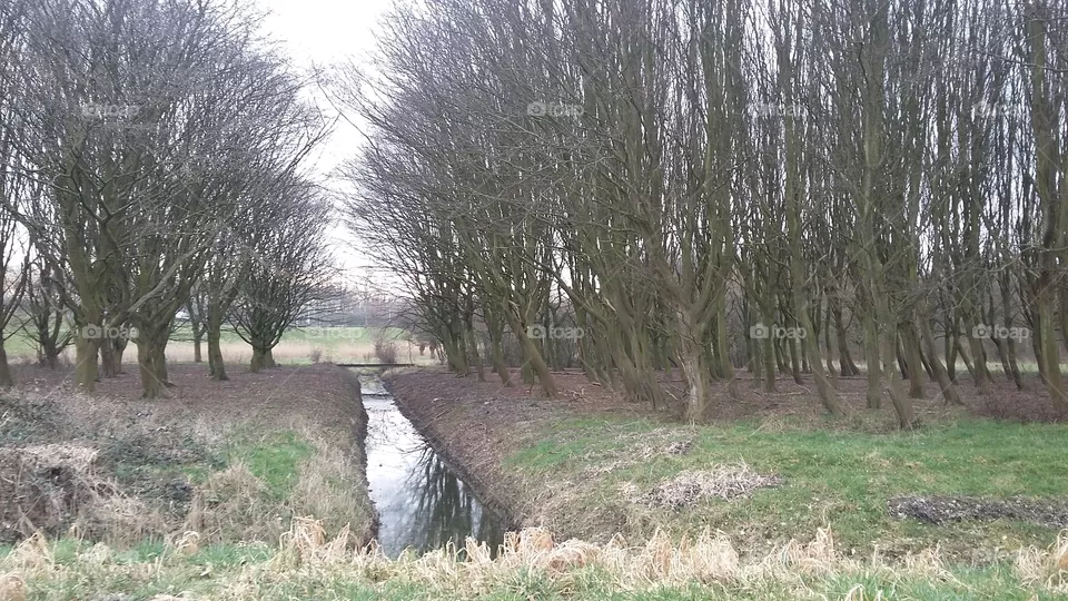water through the park the netherlands