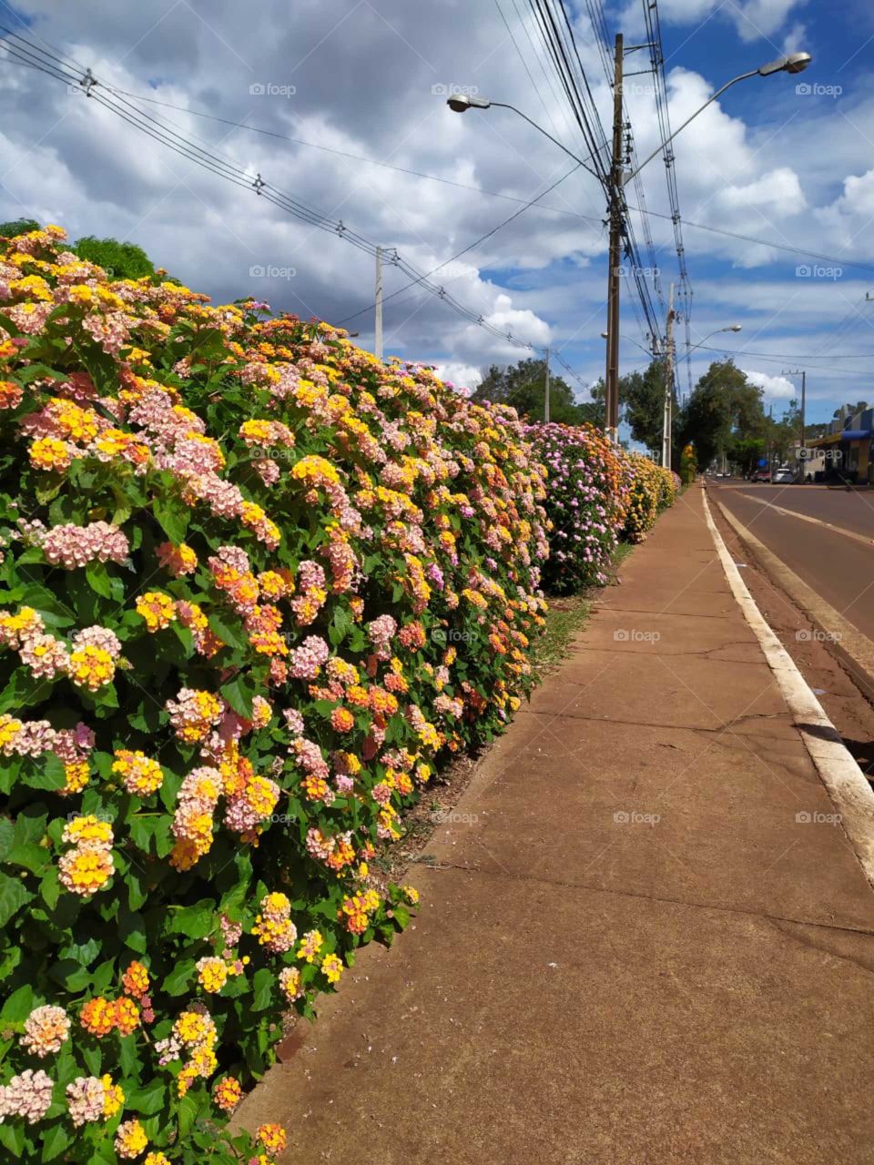 cidade Corbélia, Paraná Brasil