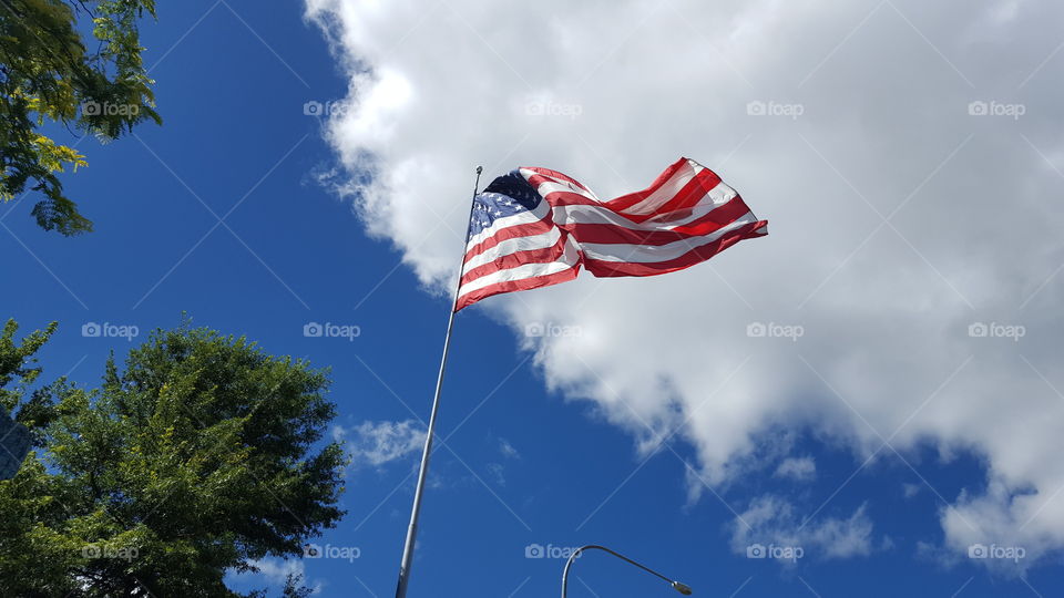 flag in the wind