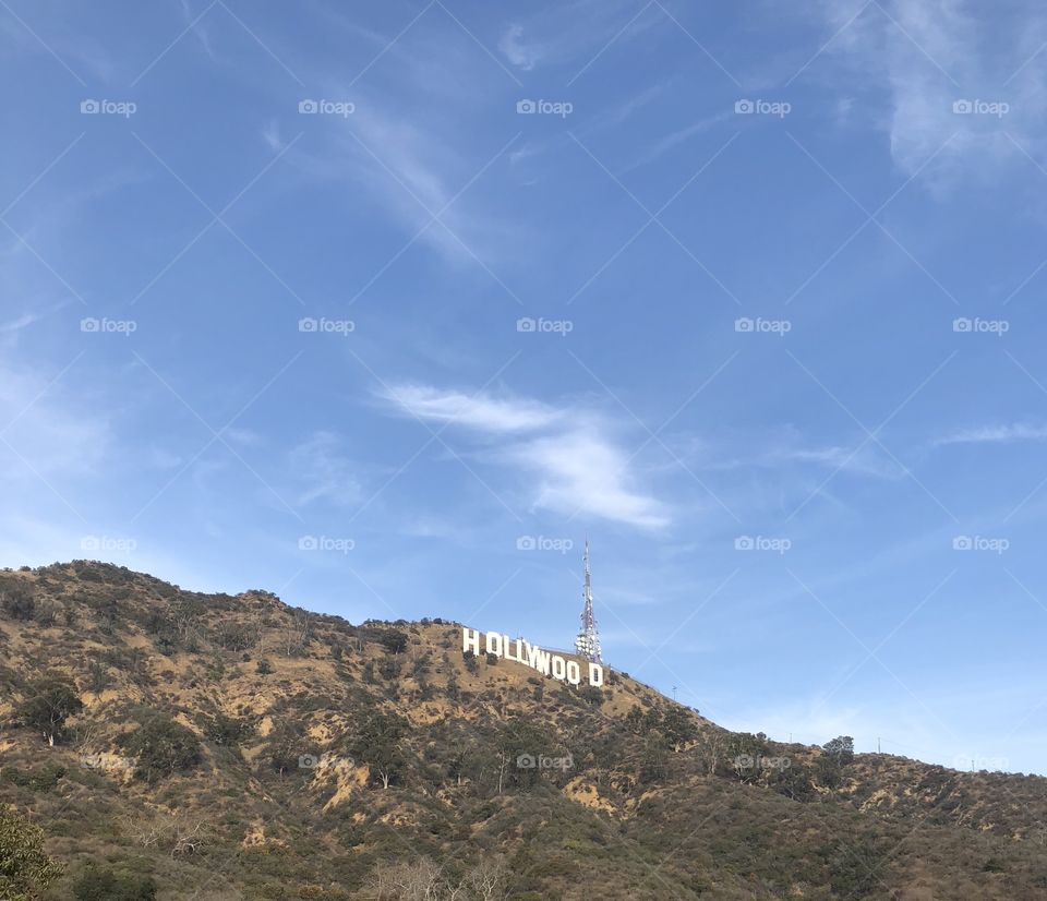 View from the Hollywood sign 