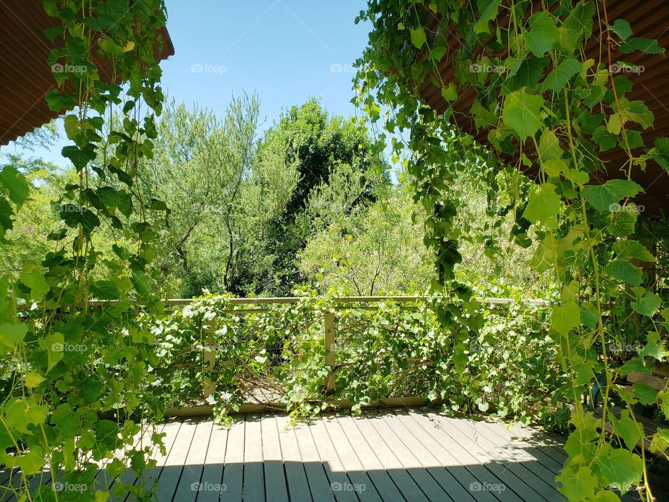 nature overlook deck