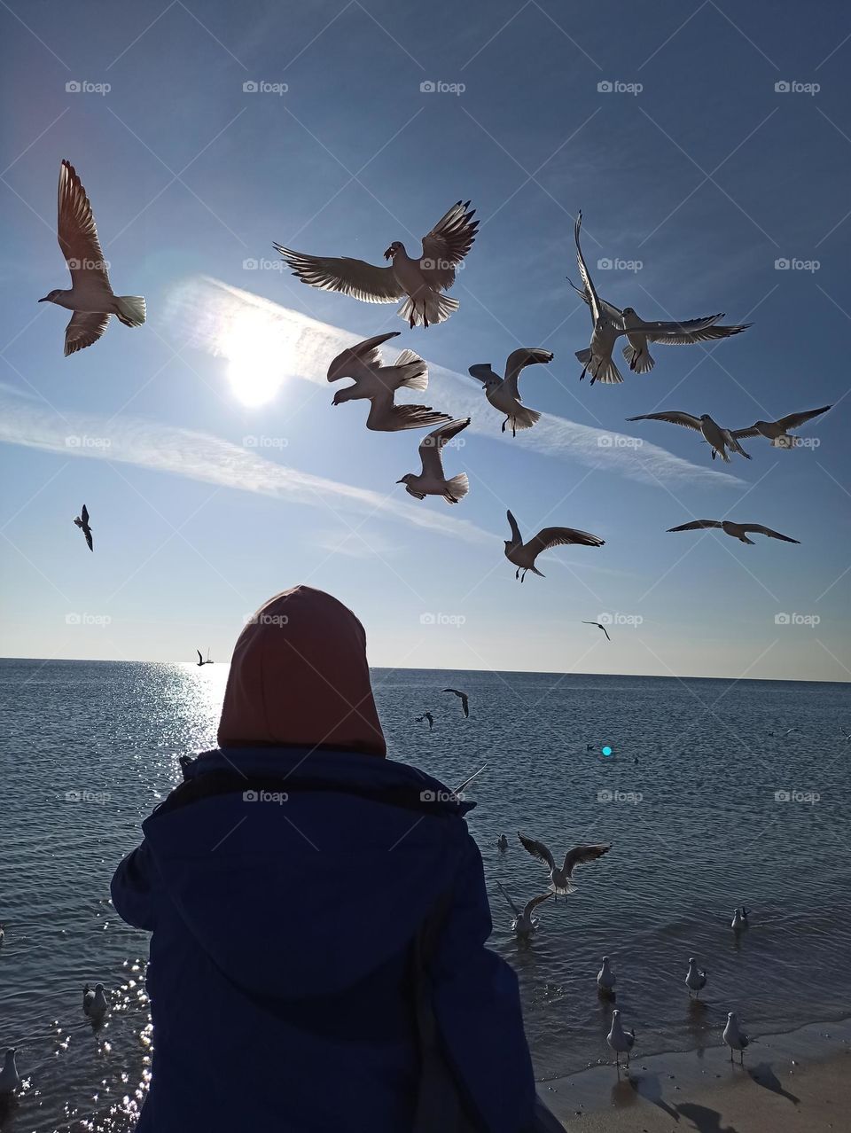 girl on the beach feeding seagulls. Ukraine