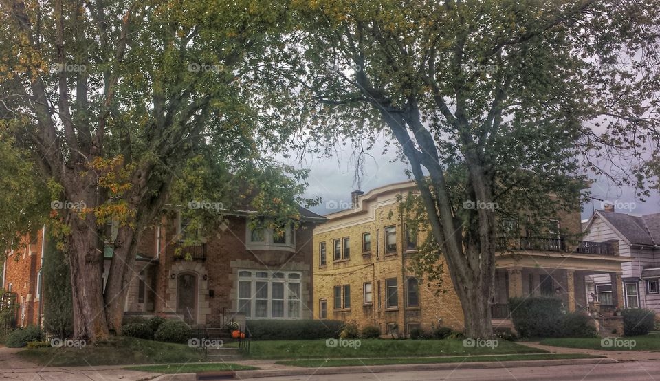 Architecture. Beautiful Old Homes on Tree Lined Street