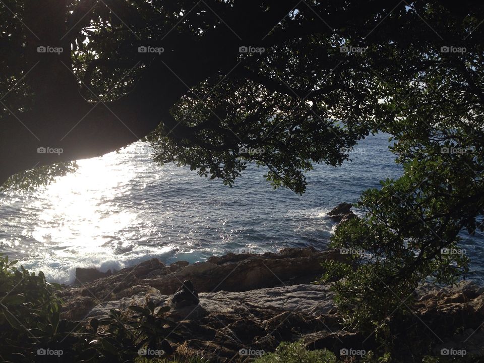 Nervi mare Liguria