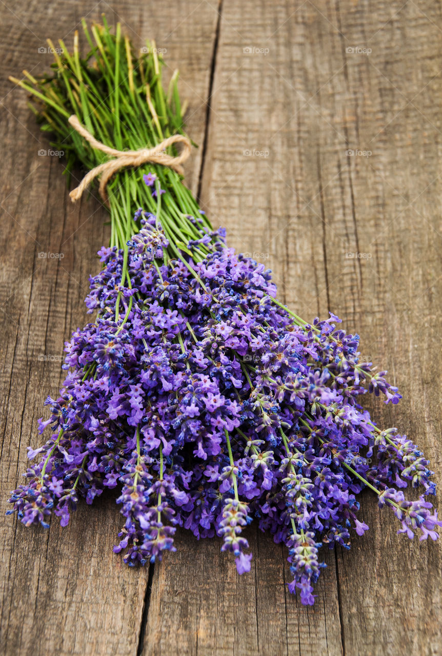 Lavender flowers 