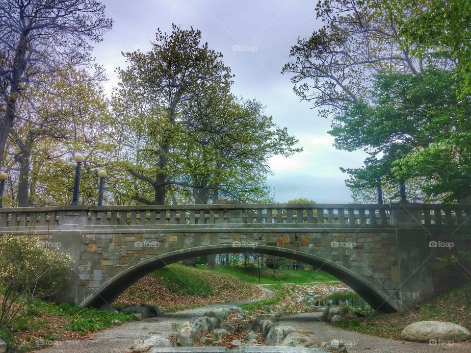 Bridge in the Park. Deering Oaks