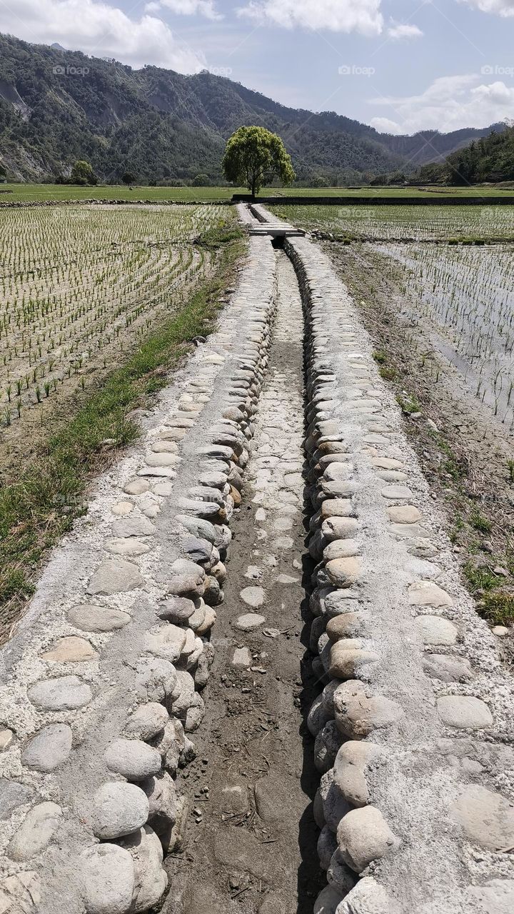 Field irrigation ditches in Luye Township