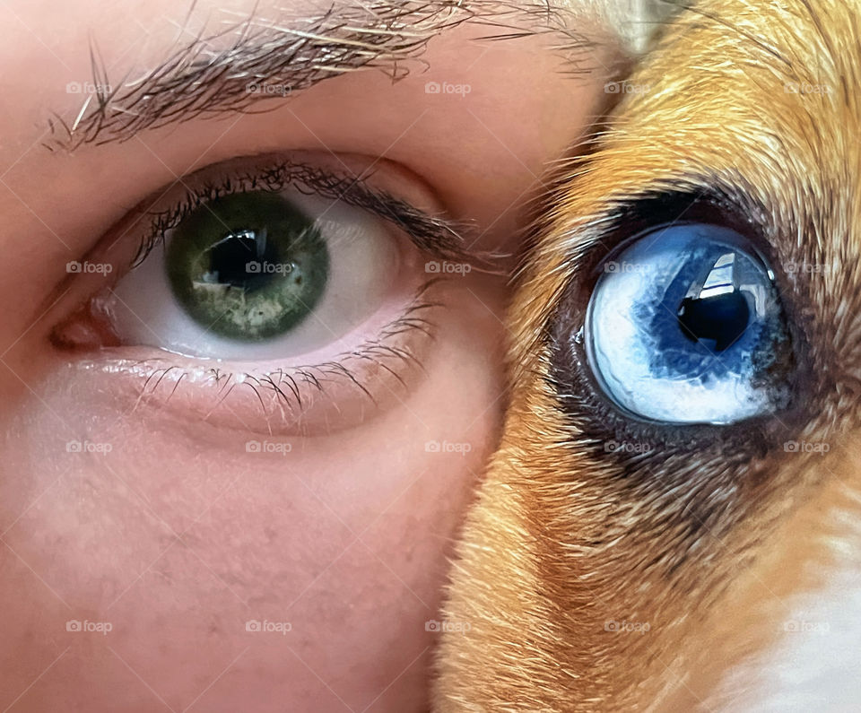 Dog pup puppy pet animal corgi girl self selfie eye eyes green blue together bestie best friend love dog mom partner in crime eyeball optic commitment imagination Inspiration joy happy happiness trust Value beautiful true friendship life creative 