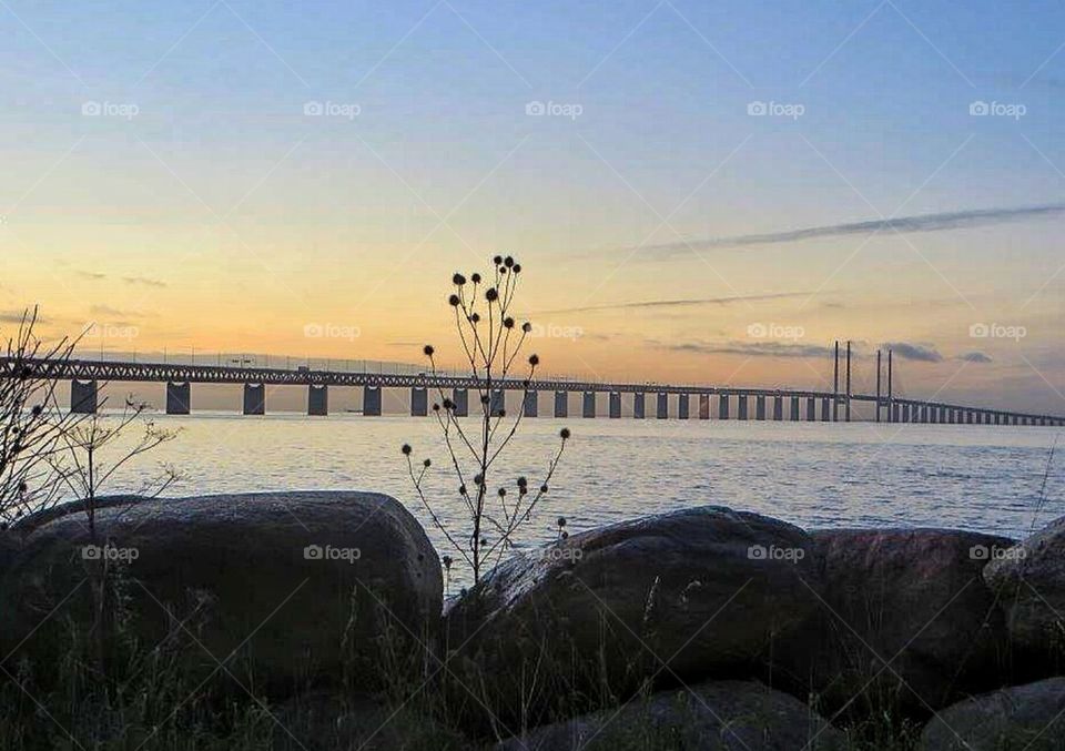  Bridge in sunset