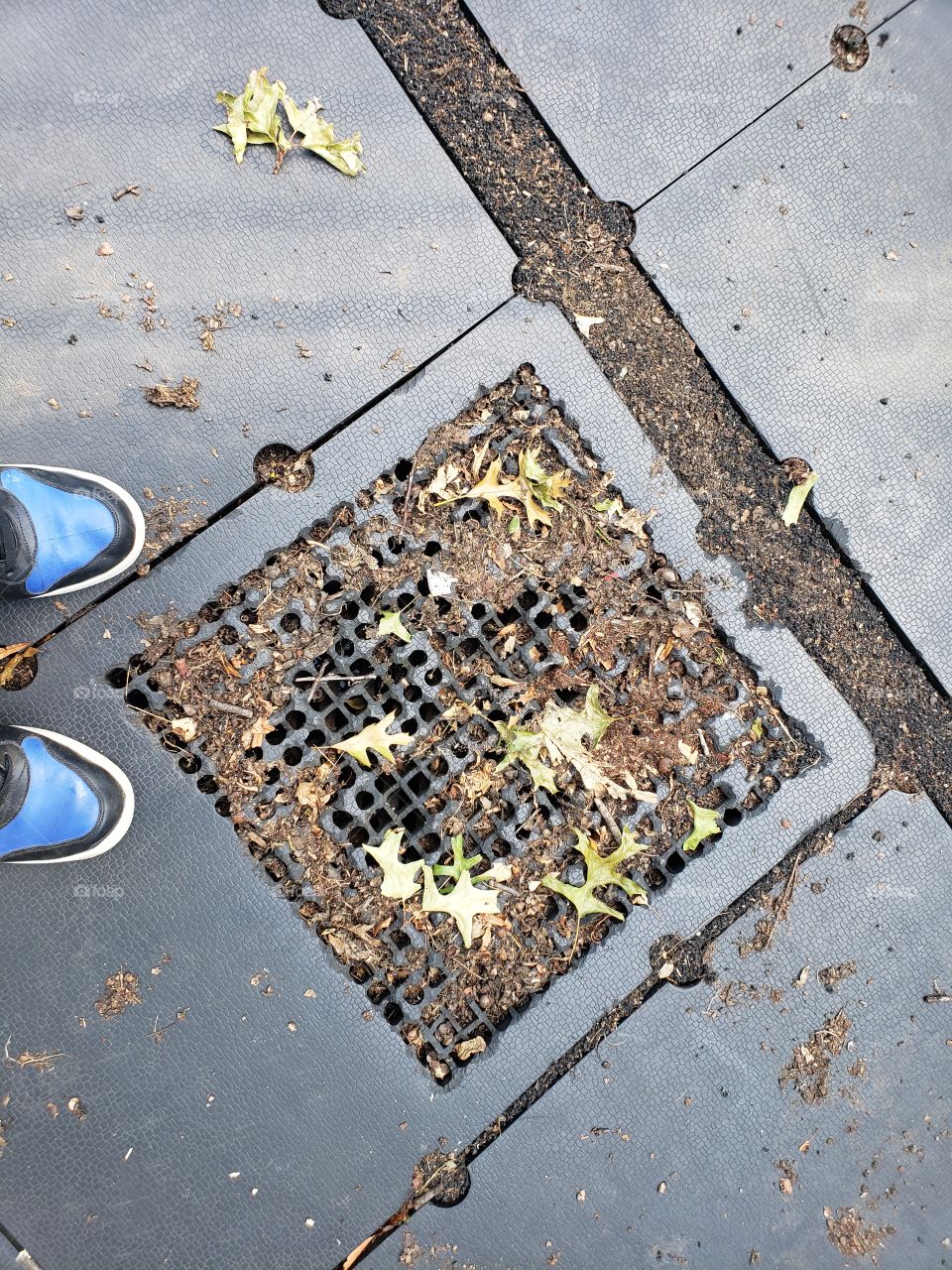 raw kicks and shapes