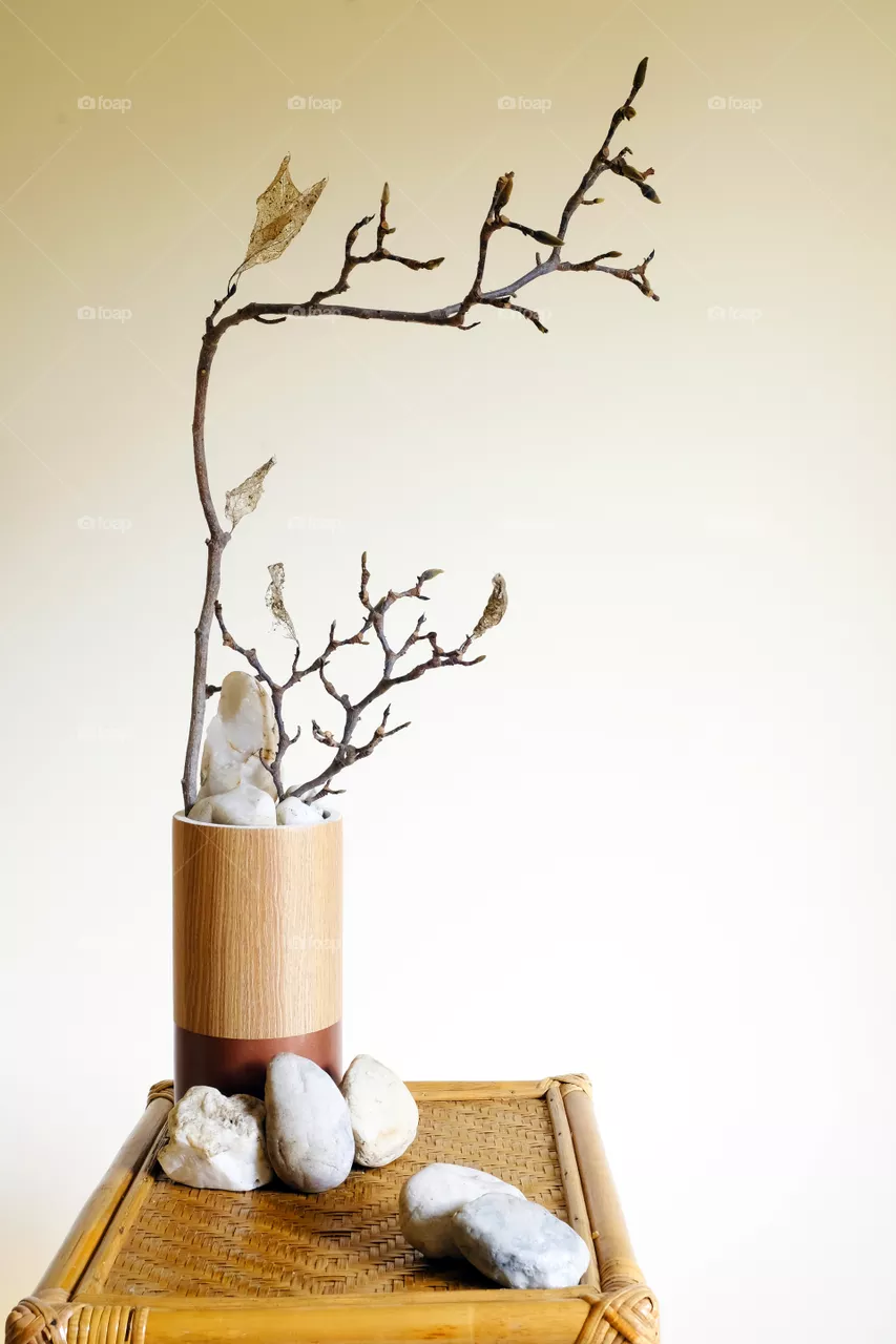 The branch and leaves are still in brittle shape and the posture is leaning on the stone forever