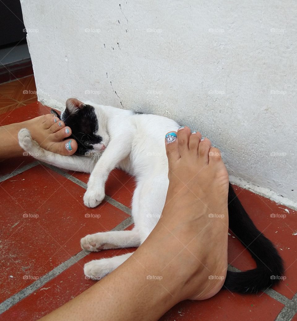 Adoptar y darles un digno hogar es la recompensa, El es Lalo y así me quiere ❤️