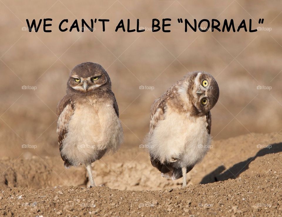 We can't all be "NORMAL"