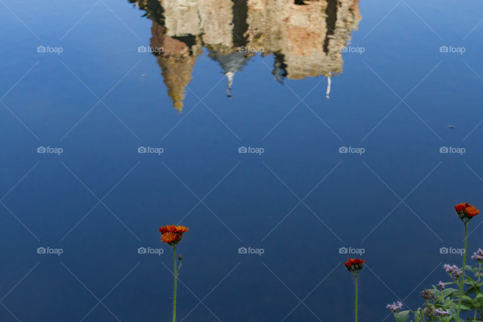 Reflection of a castle in the water of the lake. Red flowers are in the foreground 