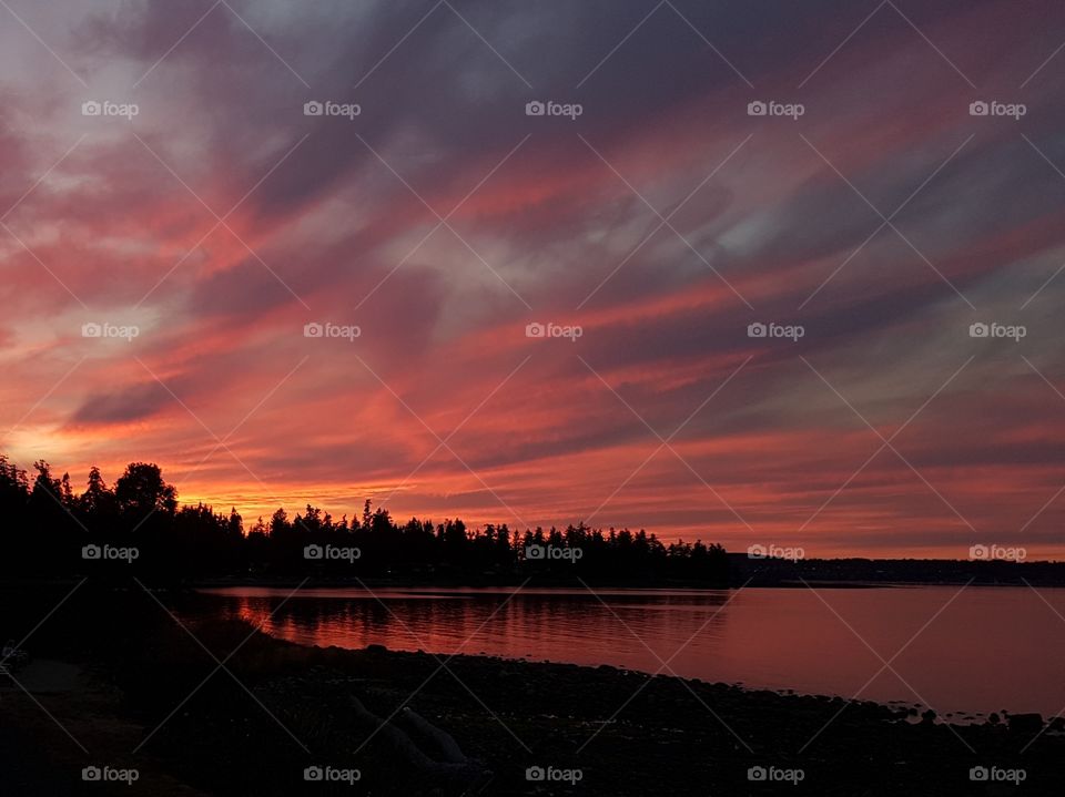 beautiful beach sunset over trees and land, colors of red, pink, grey, blue, reflection in ocean tide