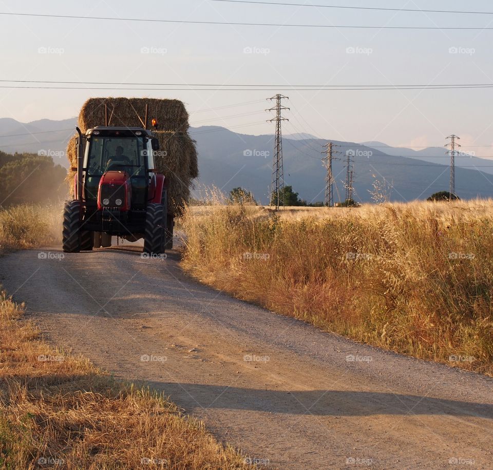 tractor working in the field