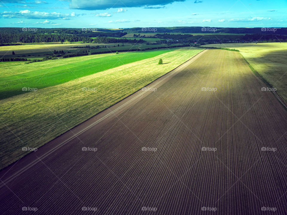 Aerial view of agriculture fields with cloud shadows