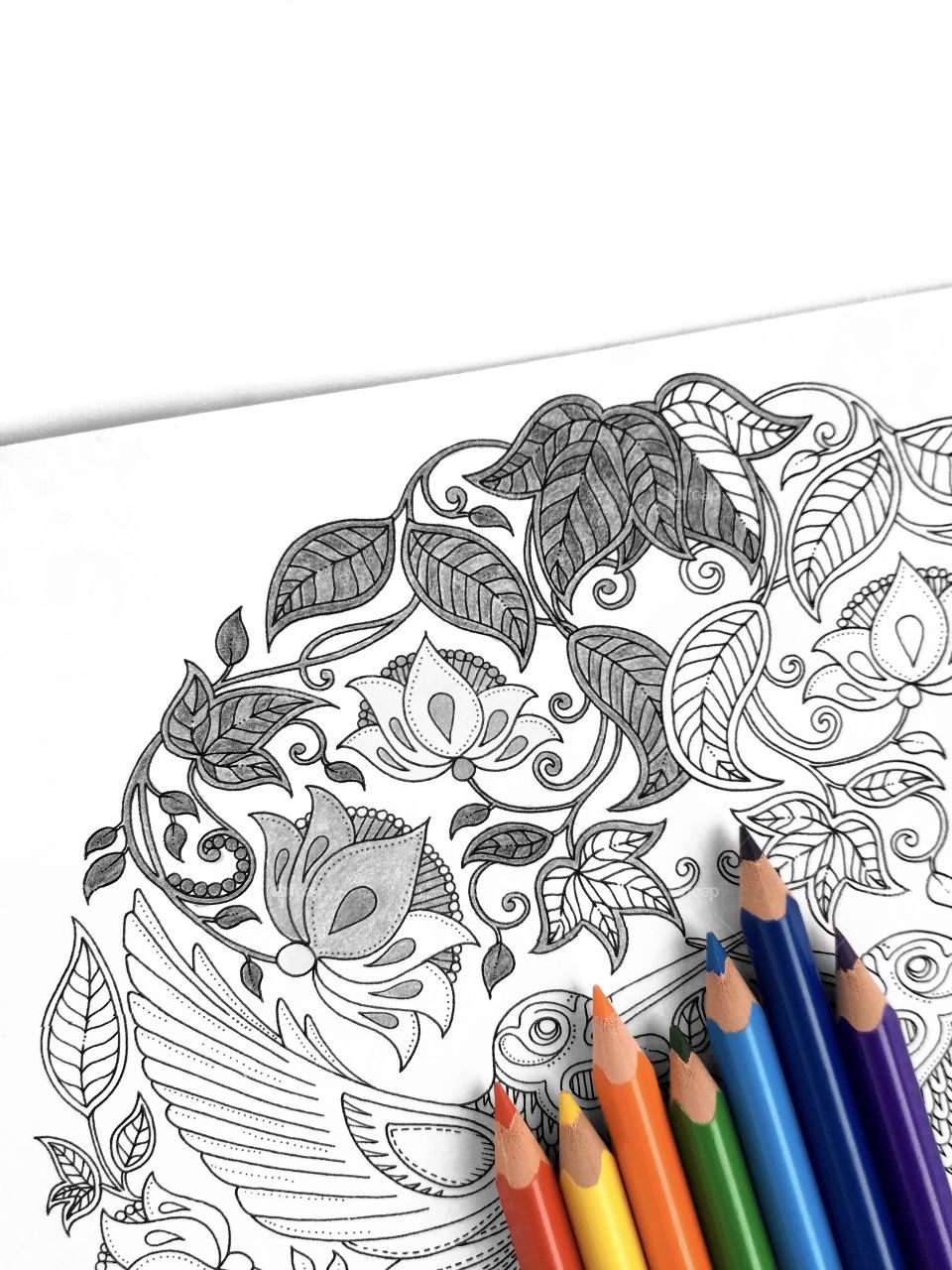 Anti stress coloring mandala in black and white, pencils in rainbow colors