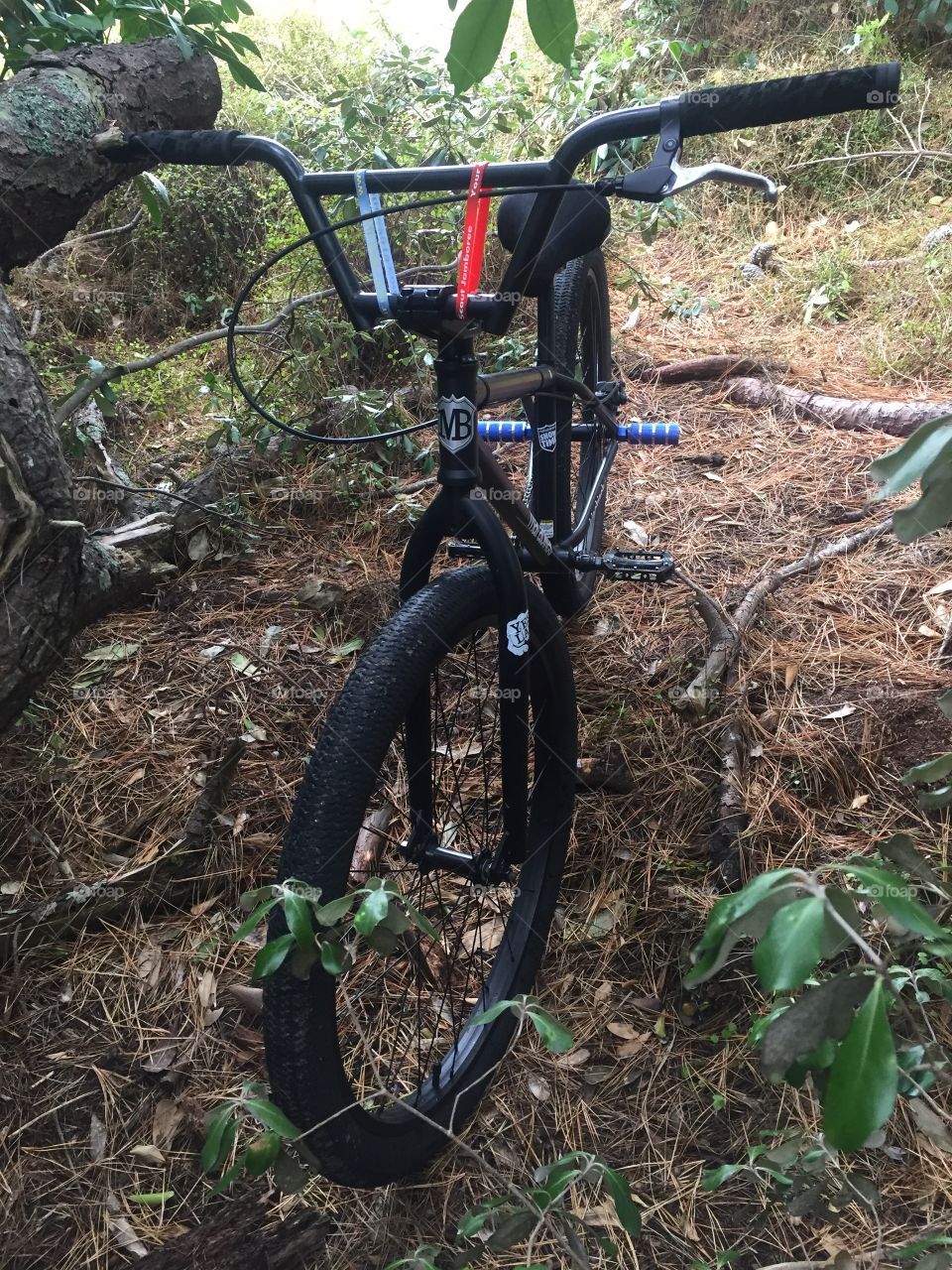 BMX Bike Off Roading / Mountain Biking
