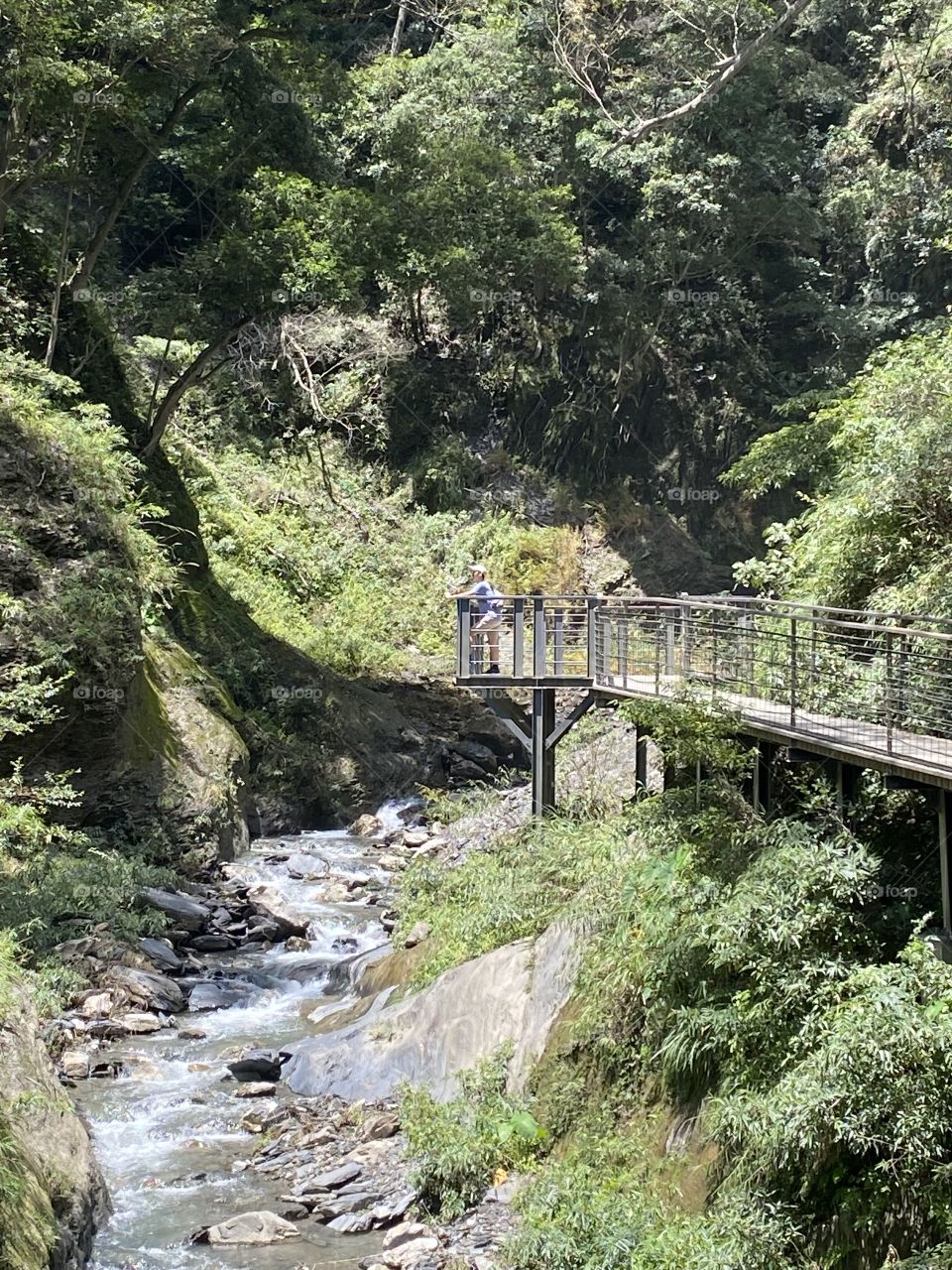 Basked in the nature.