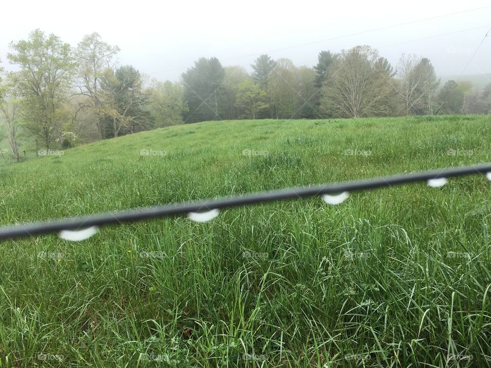 Dew on the Fence 