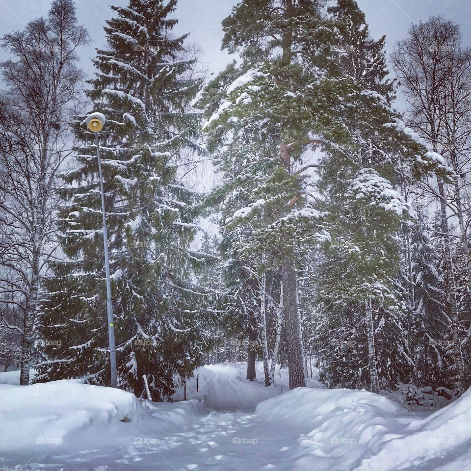 Winter time Sweden
