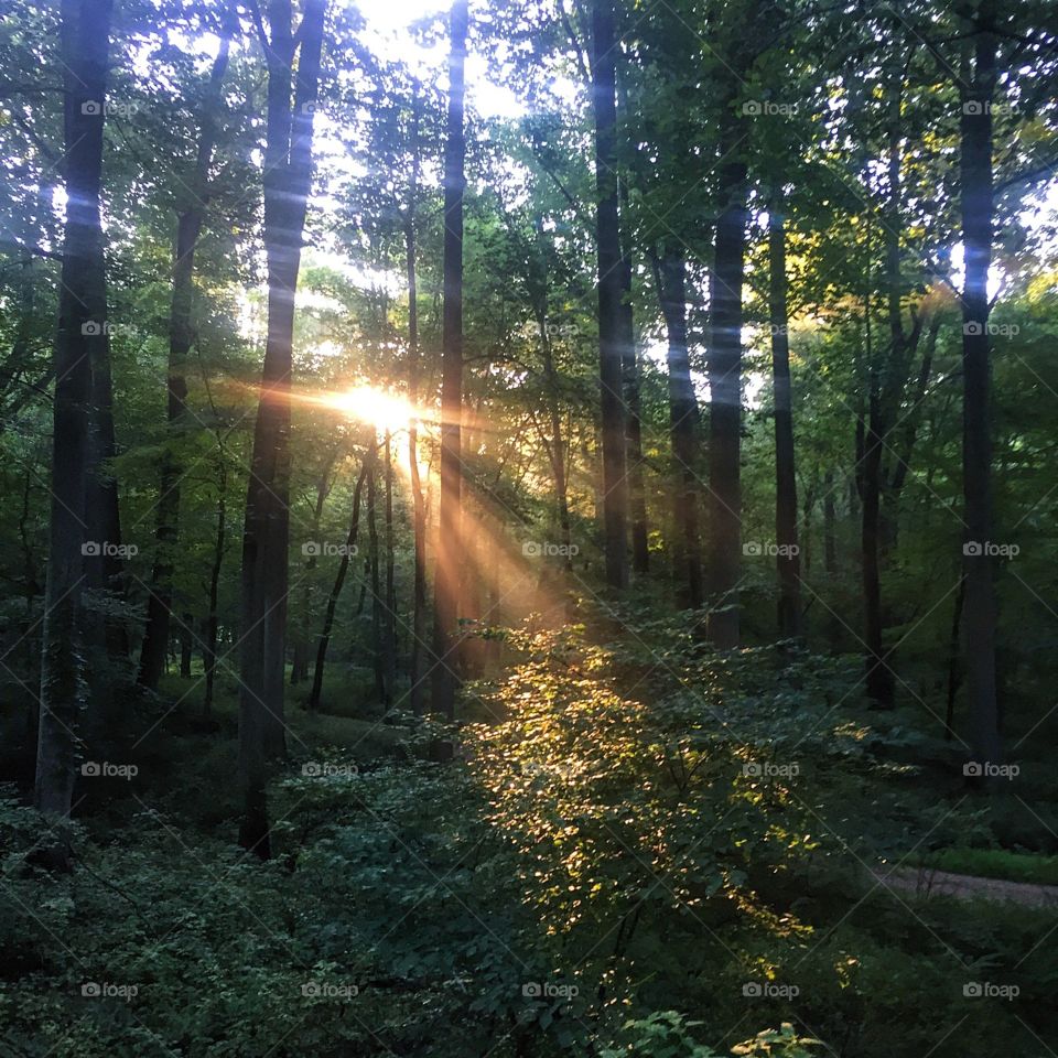 Even though I've been running here every weekend for nearly two years it never looks the same and it's never the same experience. The combinations of light, weather, emotions and thoughts that I find here are always changing and different. I only wish it was closer and I could walk out my door to a trail, but a 20 minute drive isn't bad. 

"If you train your mind for running, everything else will be easy." Amby Burfoot, winner of the 1968 Boston Marathon