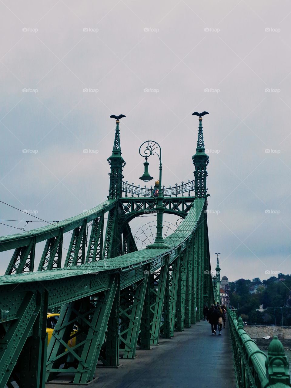 the freedom bridge from Budapest