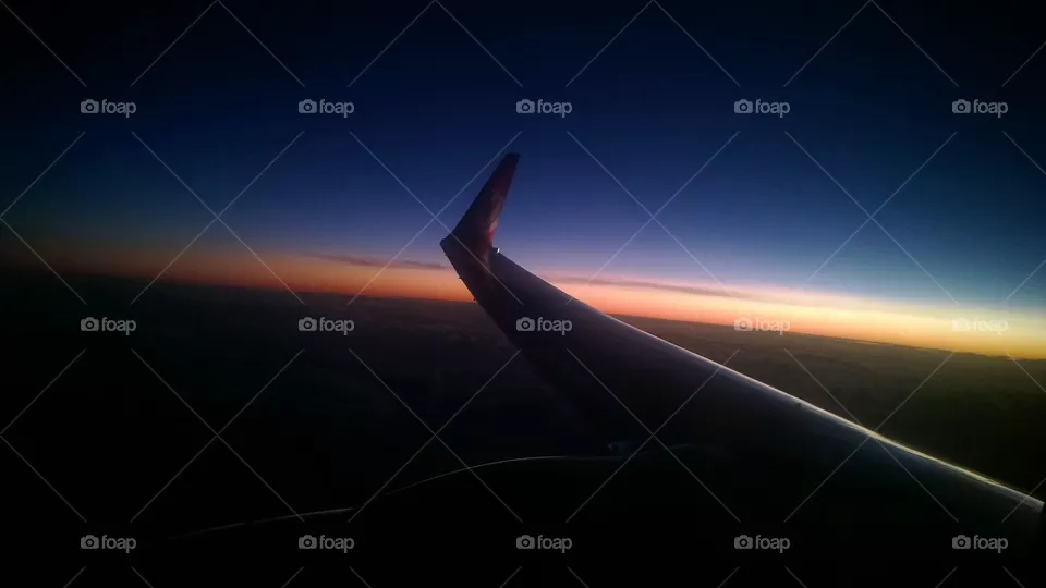 Fly