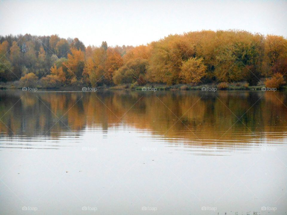 Reflection, Lake, River, Landscape, Water