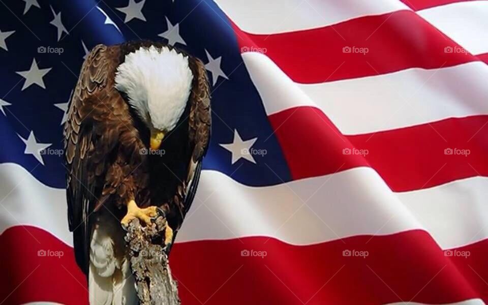 America, Patriotic, USA, Respect